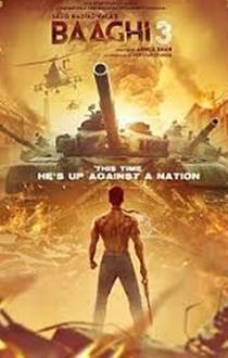 Baaghi 3 Movie Review