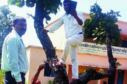 Poor Internet Connectivity Forces Teachers To Climb Trees In Order To Mark Attendance