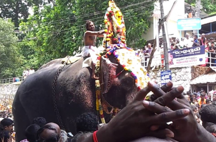 Video of elephant running amok at Sabarimala temple goes viral