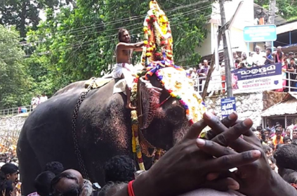 Video of elephant running amok at Sabarimala temple goes viral.