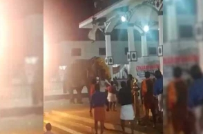 Watch: Elephant runs amok in Kerala temple