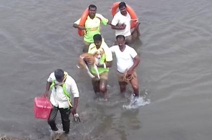 Fire officers saved Dogs from Cauvery River