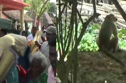 people of this village goes away after getting afraid of A monkey