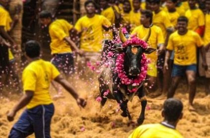 TamilNadu Government\'s new order regarding jallikattu festival