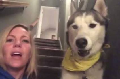 This Dog Tries to Tell I Love You to his Owner Video Goes Viral