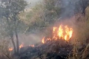 Theni forest fire: Death toll rises to 18