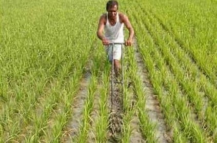 TN govt announces Rs 115 crore package for Delta farmers.