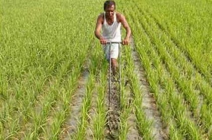 TN govt announces Rs 115 crore package for Delta farmers