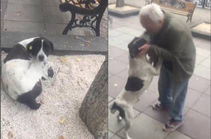 Emotional reunion between owner and dog after three years