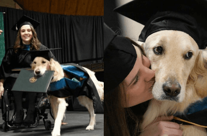 service dog awarded honorary diploma on owner graduation ceremony