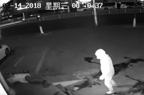 Watch video of the dumbest burglary ever caught on CCTV