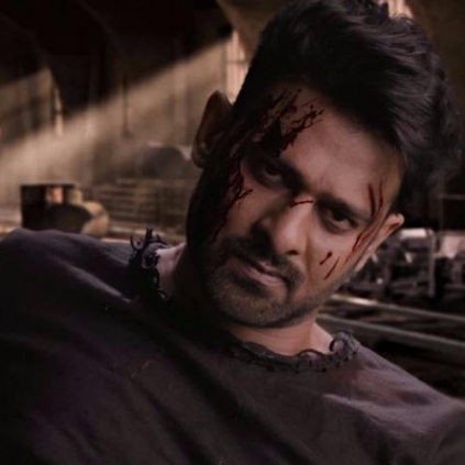 2point0 stuntman Kenny Bates to train Prabhas for Saaho